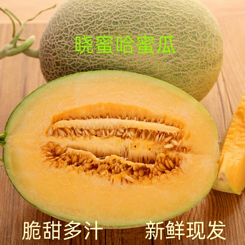 晓蜜哈蜜瓜脆甜多汁新鲜水果