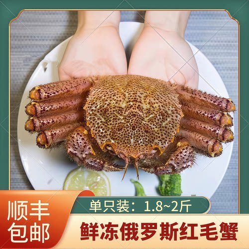 北海道冰鲜俄罗斯进口1只红毛蟹