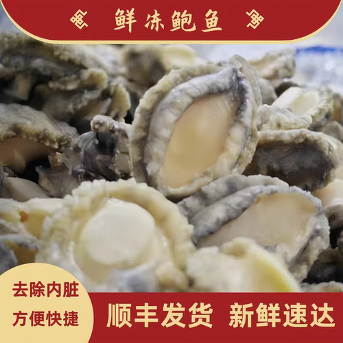 带壳去内脏鲜冻鲍鱼肉顺丰包邮