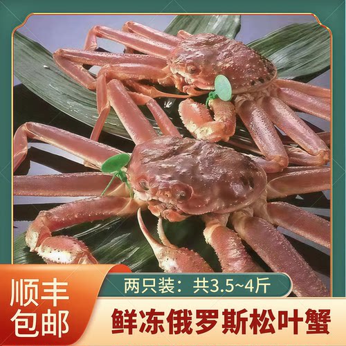 鲜活冷冻长脚蟹松叶蟹雪蟹