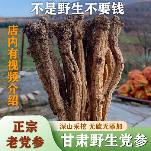 深山精品野生党参每根都经过挑选