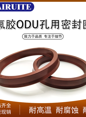 YXd/ODU氟胶油封55/56/60/63/65/70*43/44/48/51/53/58*10/14