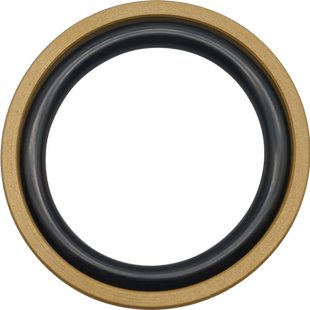 STD孔用格莱圈活塞密封圈200/210/220/225/230/240/250/260*8.1