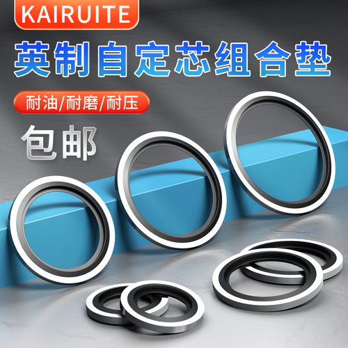 KAURUITE全包/英制组合垫圈垫片
