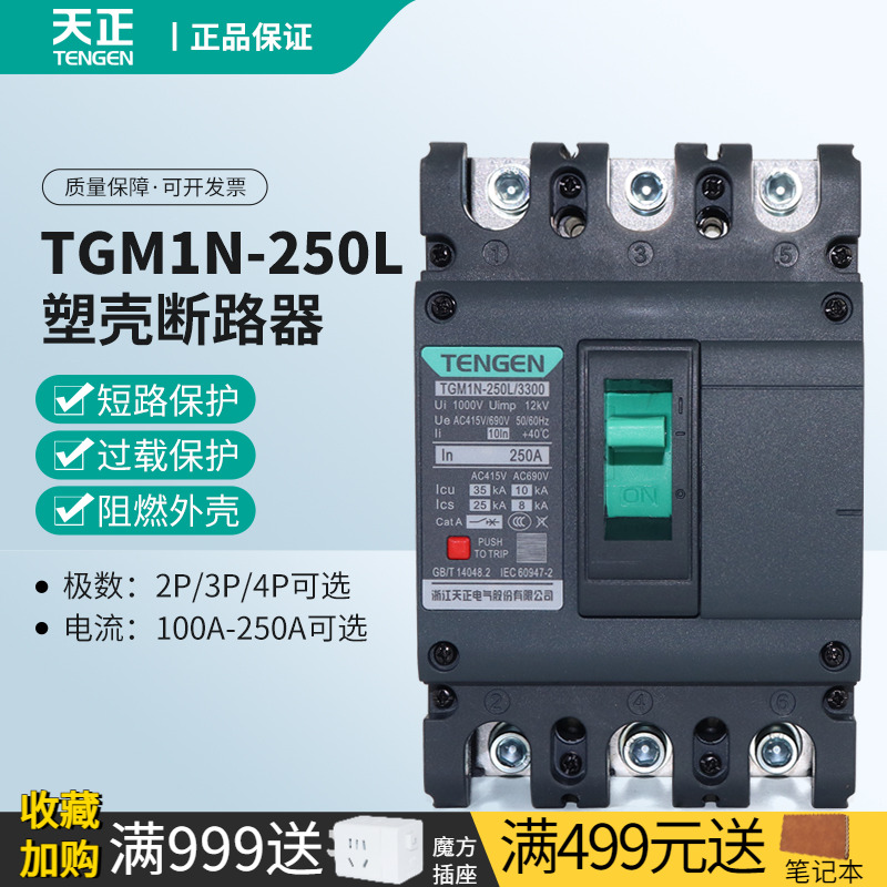 天正电气TGM1N-250L塑壳断路器