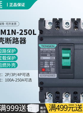 天正TGM1N-250L塑壳断路器3300空气开关3P4P三相380V电闸200A160A