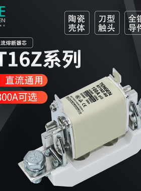 TENGEN天正RT16Z直流熔断器体陶瓷保险丝熔芯底座63A100A200A400A