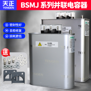 天正电力电容器无功补偿低压并联BSMJ0.45 3三相450V