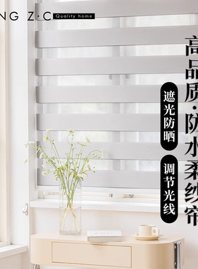 遮光防水窗帘2025新款免打孔柔纱帘办公室卫生间卷拉式卷帘斑马帘