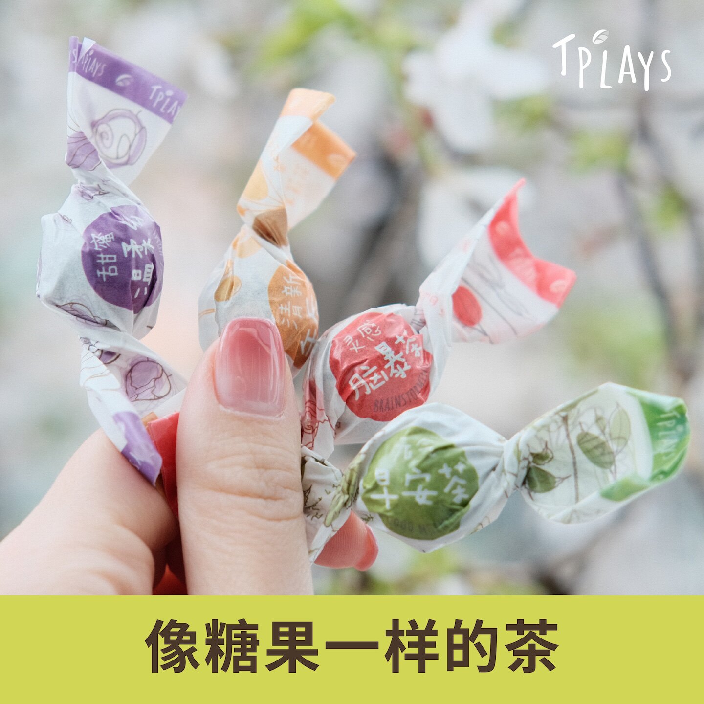 TPlays小糖茶润喉花茶叶伴手礼教师节礼物送女老师幼儿园2026新款