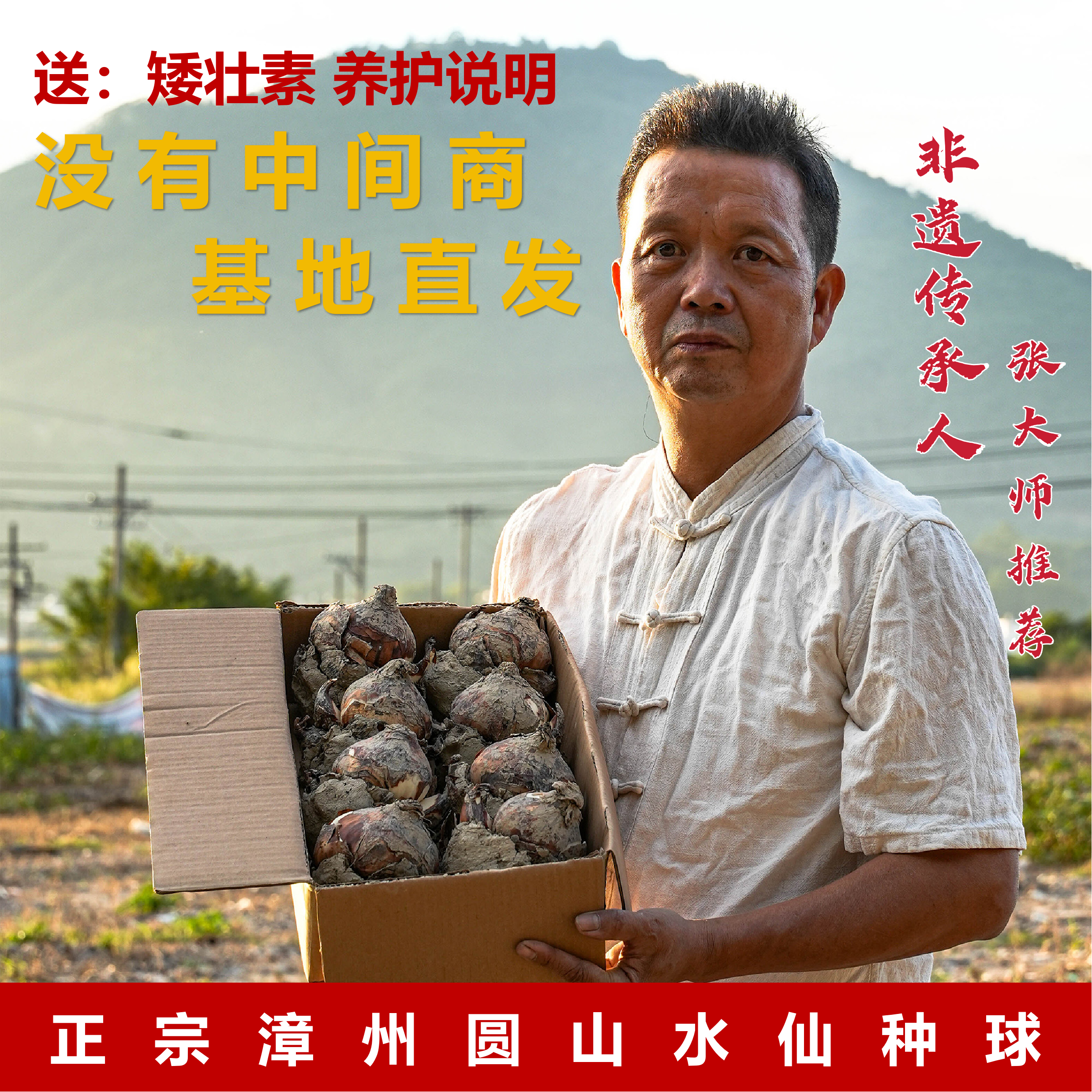 水仙花种球水养植物漳州正宗重瓣水培花卉金水仙种球【大师推荐】,鲜花速递/花卉仿真/绿植园艺,种球/裸根,淘宝优惠券,粉丝福利购,淘宝优惠卷