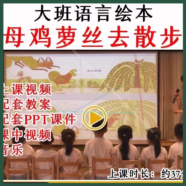 幼儿园优质公开课大班绘本语言《母鸡萝丝去散步》教案课件ppt.