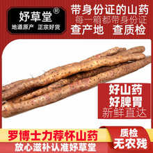 正宗河南焦作温县垆土铁棍铁杆淮山怀山药新鲜5斤特产整箱准铁桂