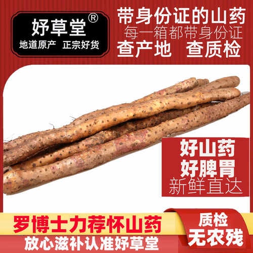 河南焦作温县旗舰店新鲜铁棍山药