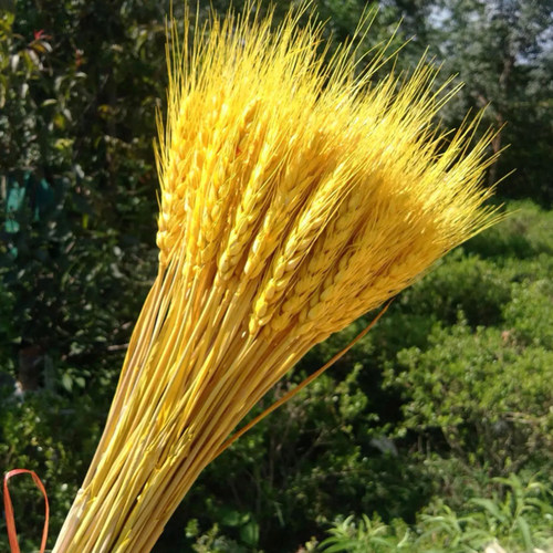 麦穗干花莲蓬松果兔尾草装饰摆件