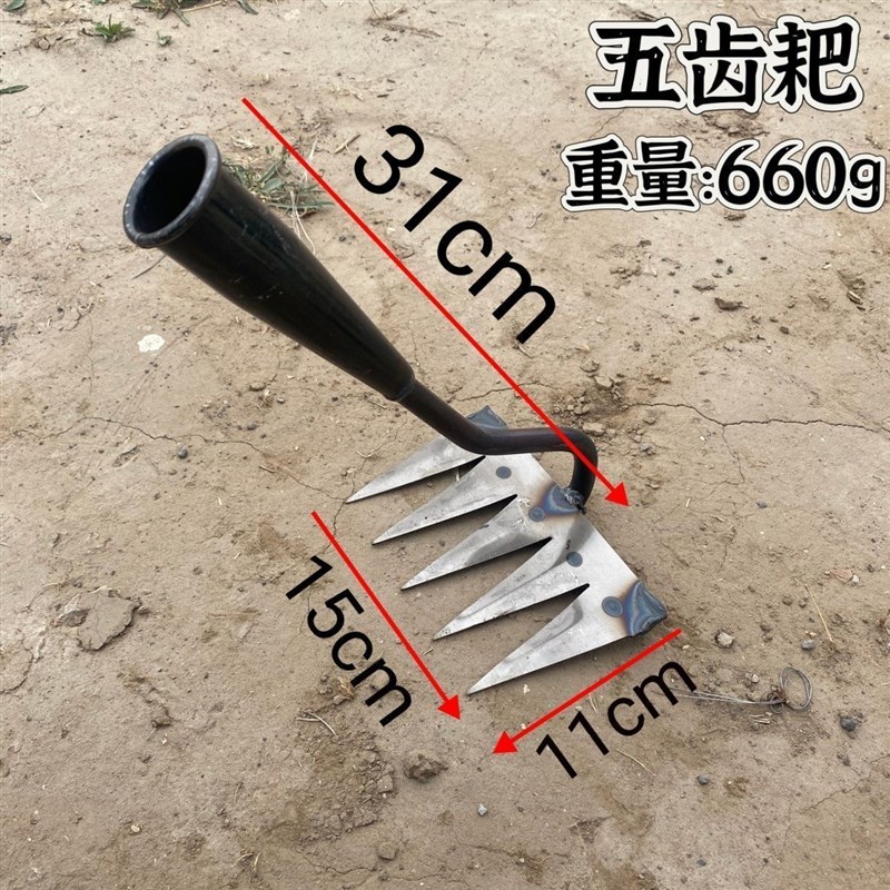 锰钢多齿花锄开荒锄头耙子翻土农用工具农用铁耙子农具除草锄头图片