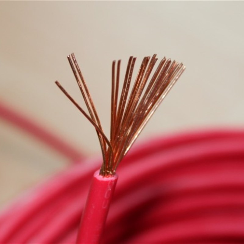 广东名牌 广州珠江环市电线电缆 国标铜芯4平方BVR单塑多股(1米)