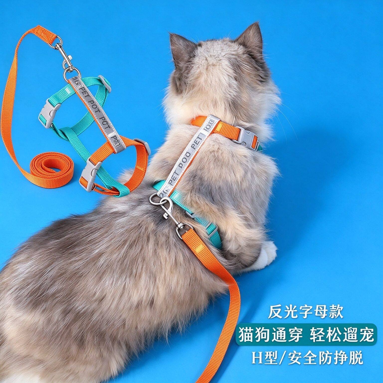防挣脱反光猫咪H型牵引绳可调节