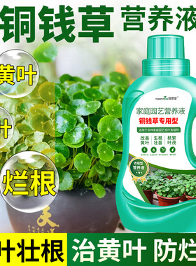 园富堂发财树专用营养液
