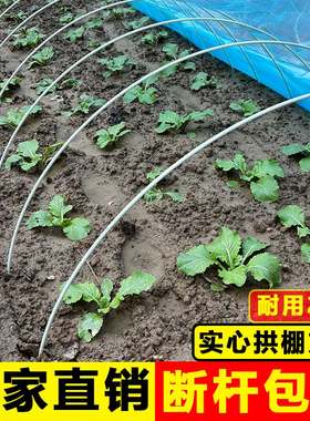 拱棚支架玻璃纤维菜园菜地小拱棚杆蔬菜棚骨架家用大棚支架拱杆