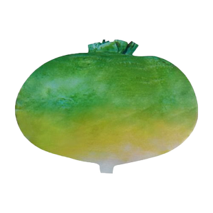 蔓菁籽蔓菁疙瘩萝卜种籽菜籽种大全秋冬秋后菜种子过年菜种