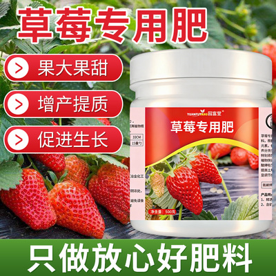 草莓专用肥全水溶不烧苗