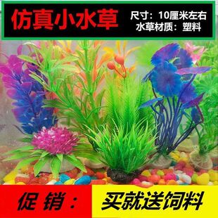 饰水族箱塑料假水草龟缸草前景小摆件五花彩石 仿真水草造景鱼缸装