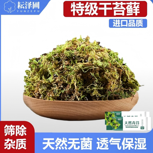 苔藓微景观仿真苔藓苔乌龟蝴蝶花