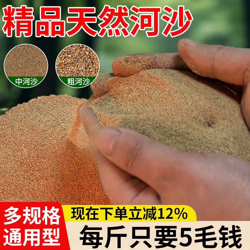 河沙粗沙河沙细沙河沙鱼缸底砂河沙种植土盆景水族造景底沙专用沙