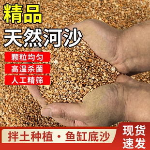 养花专用河沙纯天然粗河沙粗沙细沙人工精筛扦插多肉铺面50斤包邮