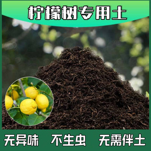 柠檬树专用土腐殖土蓬松农业果树土柠檬树专用营养土种植有机土壤