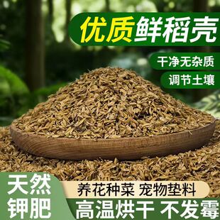 稻壳谷壳现磨鲜稻壳发枕头填充家鸡谷糠花草营养土批发100升包邮