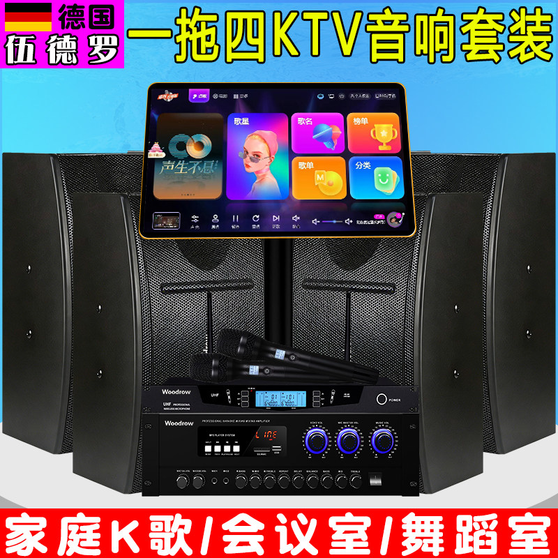 德国伍德罗家用一拖四KTV音响套装家庭K歌卡拉ok会议室舞蹈室专用
