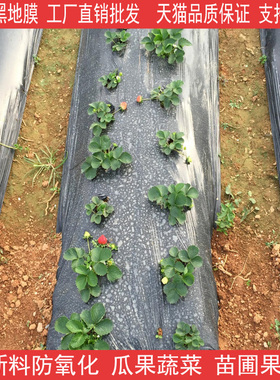 地膜农用黑色地膜防草膜蔬菜大棚塑料膜黑地膜白地膜除草膜黑薄膜
