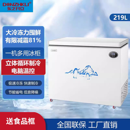东之开立冷冻冷藏家用节能小冰柜