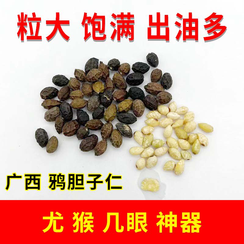 鸦胆子仁 去壳 油籽正宗广西老树苦参子植物鸭蛋子疣瘊鸡眼神器