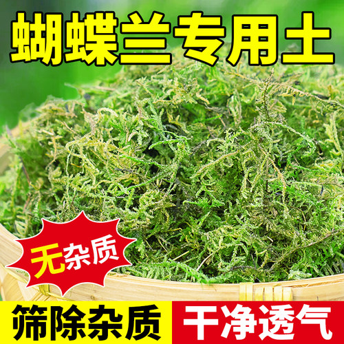 干苔藓水苔纯天然青苔兰花蝴蝶兰
