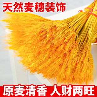 黄金大麦麦穗装饰摆件仿真假花客厅餐桌干花大麦花束乔迁结婚开业