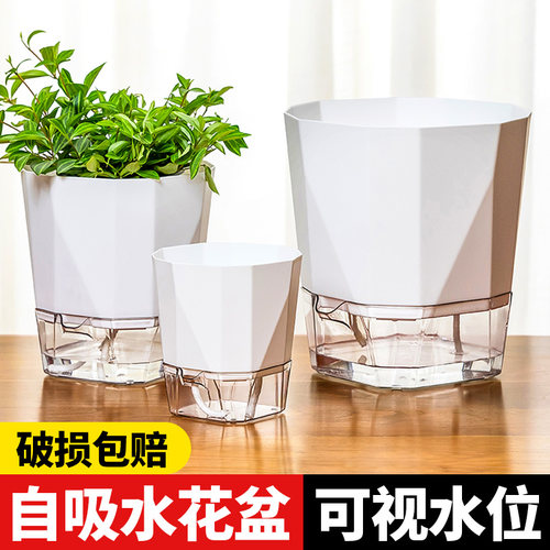 自动吸水懒人花盆塑料清仓