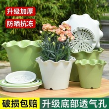 创意荷叶边高筒花盆加厚树脂塑料透气控根家用月季玫瑰虎皮兰花盆