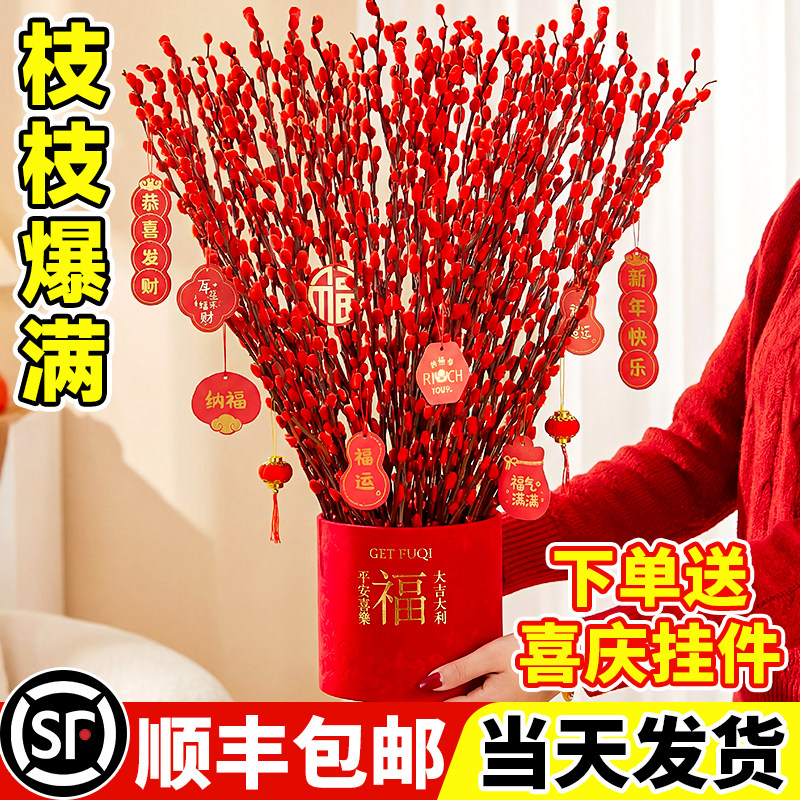 银柳真花鲜枝抱抱桶花桶福桶客厅摆件干花年宵花乔迁新居新年花卉,鲜花速递/花卉仿真/绿植园艺,时令草本花卉,淘宝优惠券,粉丝福利购,淘宝优惠卷
