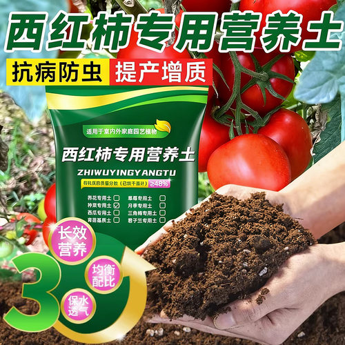 西红柿专用有机营养土番茄