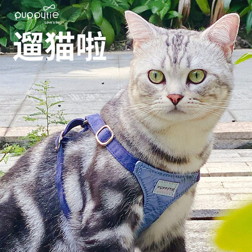 Puppytie猫咪牵引绳不勒脖