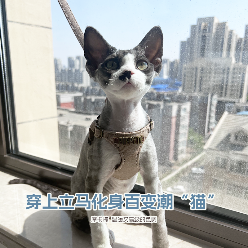 puppytie猫咪牵引绳遛猫绳