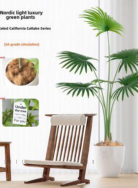 采购产品大型模拟绿色植物，彷生盆栽植物，加利福尼亚卡特瓦客厅