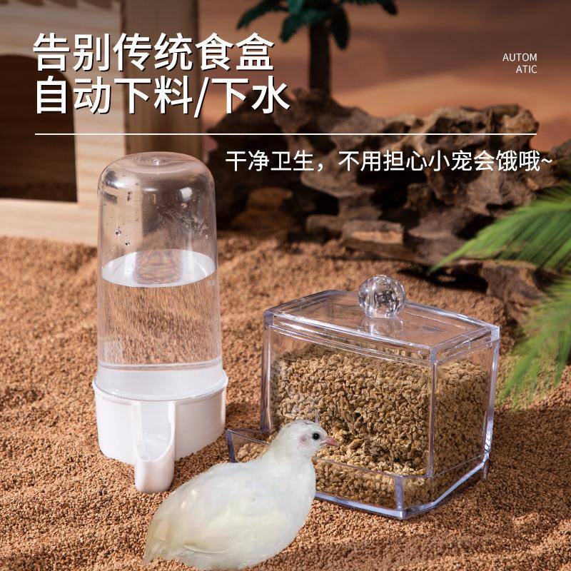 芦丁鸡喂食器喂水器小鸡食槽食盆鹌鹑自动饮水器喝水器喂食盆