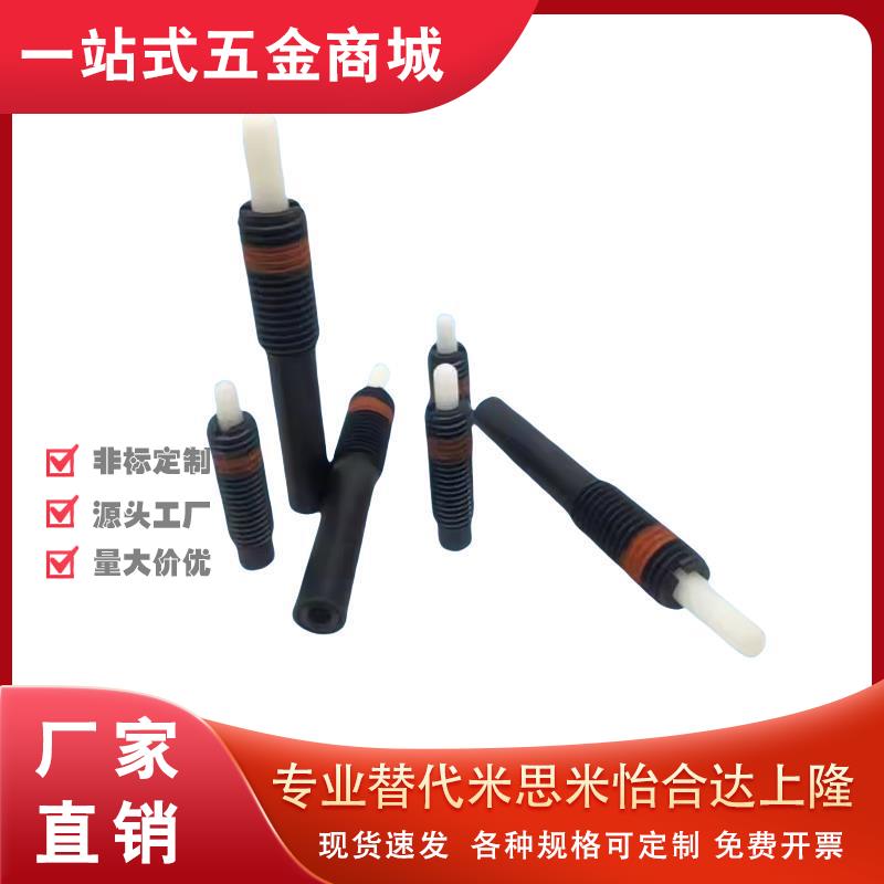 NPJL3/4/5/6/8/10/12轻载尼龙柱弹簧柱塞 伸缩螺纹固定销ZAP16
