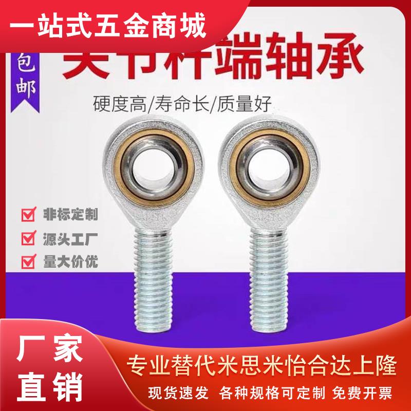 BDN51-SA15ES-L/R关节轴承12/17/20/25/30/40/45/35/50/60/80/70