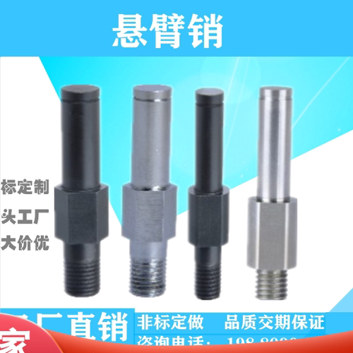 悬臂销MFD41/426/5外螺纹