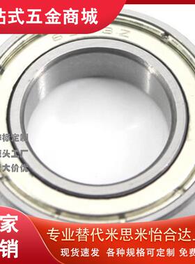 C-E6802/6902轴承6002/6202/FL6803/SB6903/B6003/6203DDU/6704ZZ